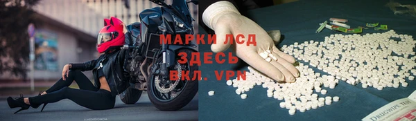 стаф Магадан
