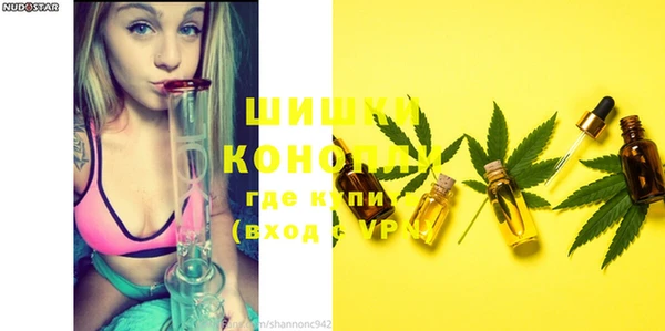 прущие грибы Лысьва