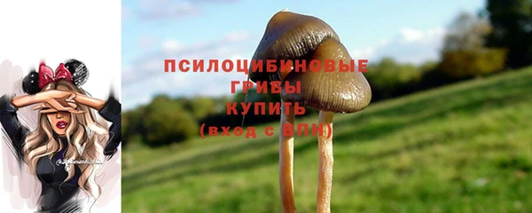 метадон Лихославль