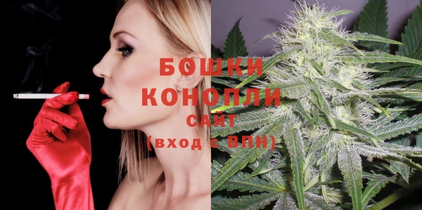 сатива Магас