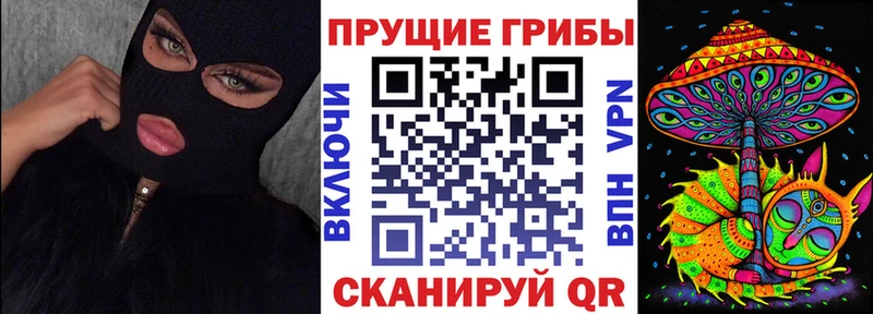 MEGA   Невельск  Галлюциногенные грибы GOLDEN TEACHER 